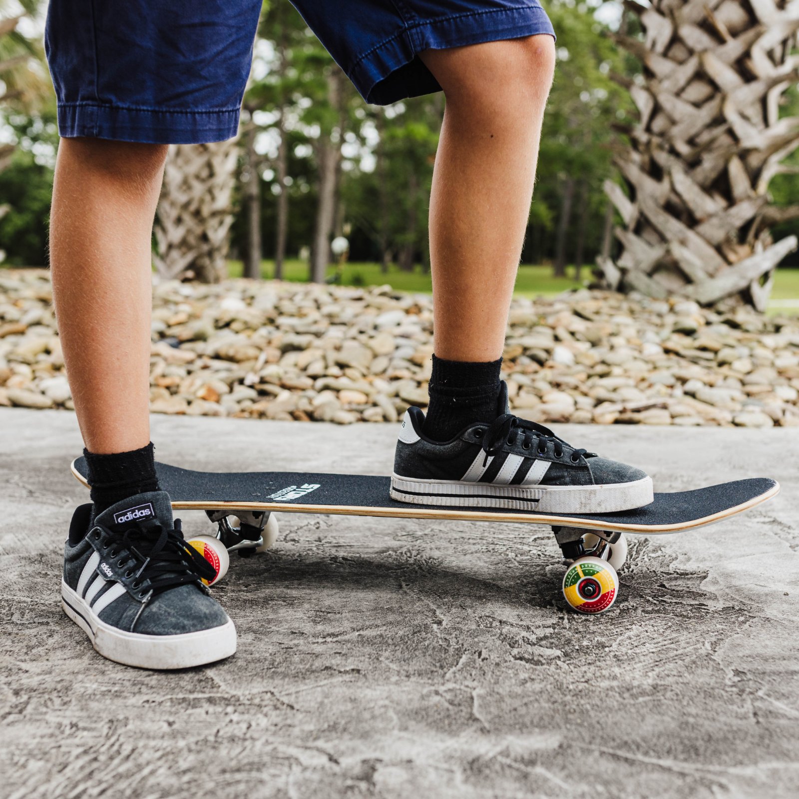 Story 7.5" Skateboard
