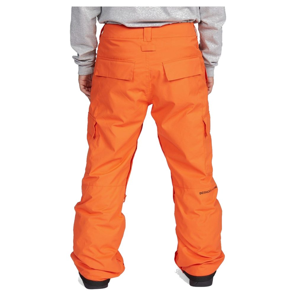 DC Banshee Snow Hose